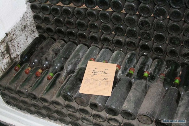 Южный берег Крыма