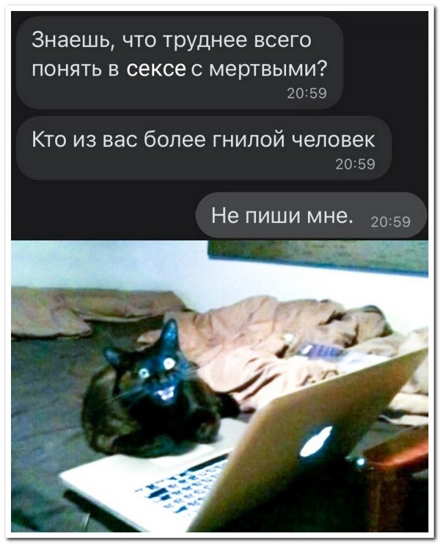 Забавные комментарии из социальных сетей (05.09.22)