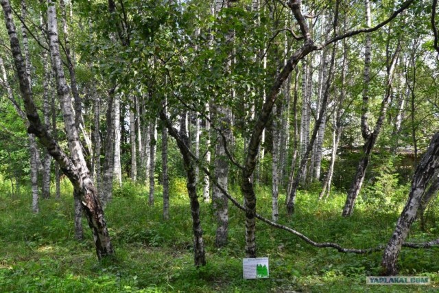 Водный поход по Карелии