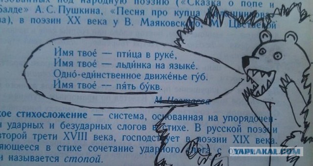 ТП пришла покорять страну