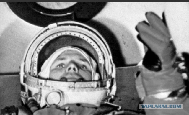 История Луноспоров