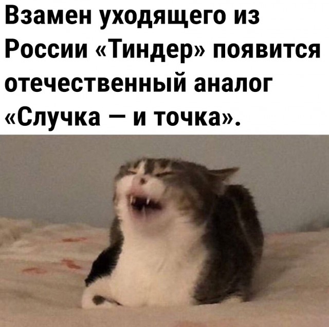 Так себе картинки 06.05.23