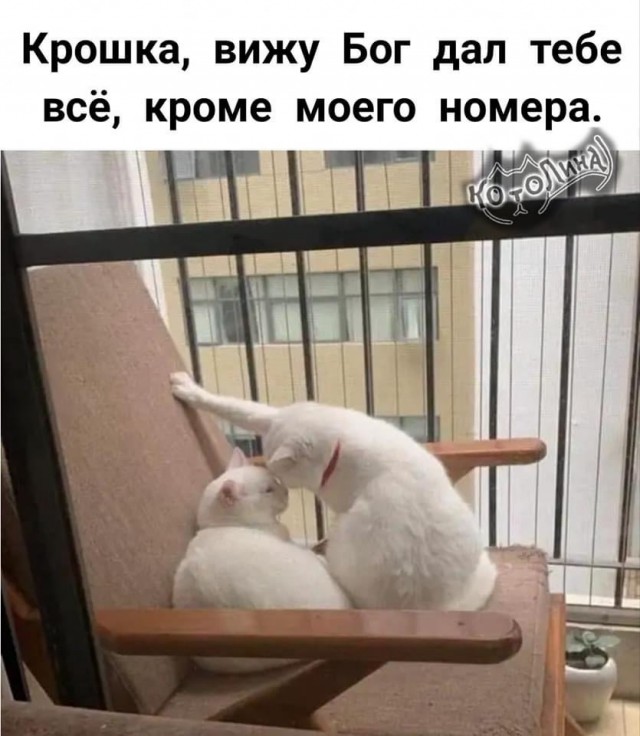 Юмор в картинках и без 09.05.2023