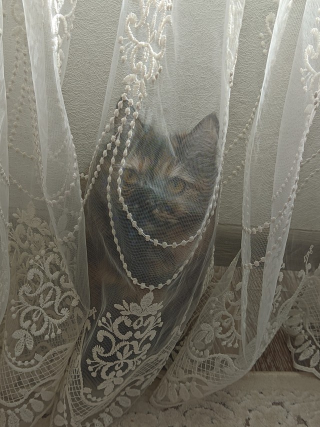 Вот вам