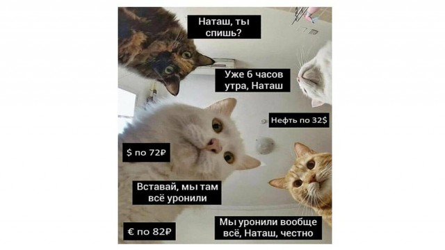 «Разведенные подруги жены» - первая категория опасности для счастливых семей