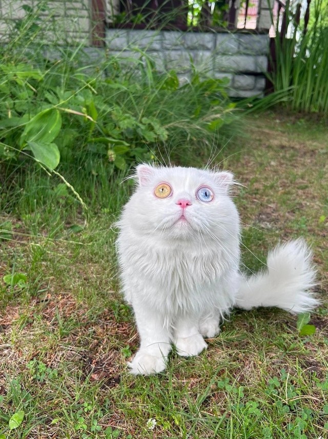 Очередной рабовладелец