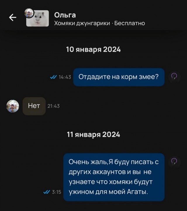 Всего понемногу. От 12.05.2024