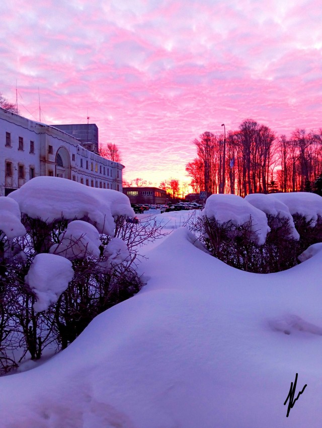 Подборка морозных фото!