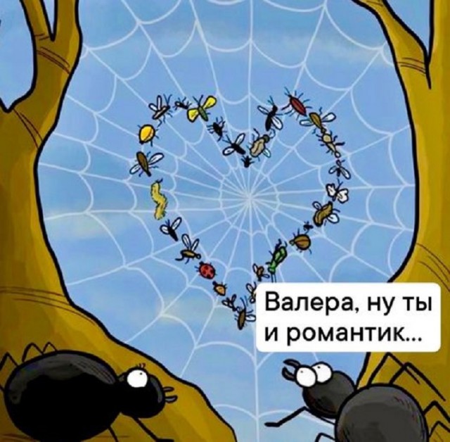 Картинки разные с надписями и без