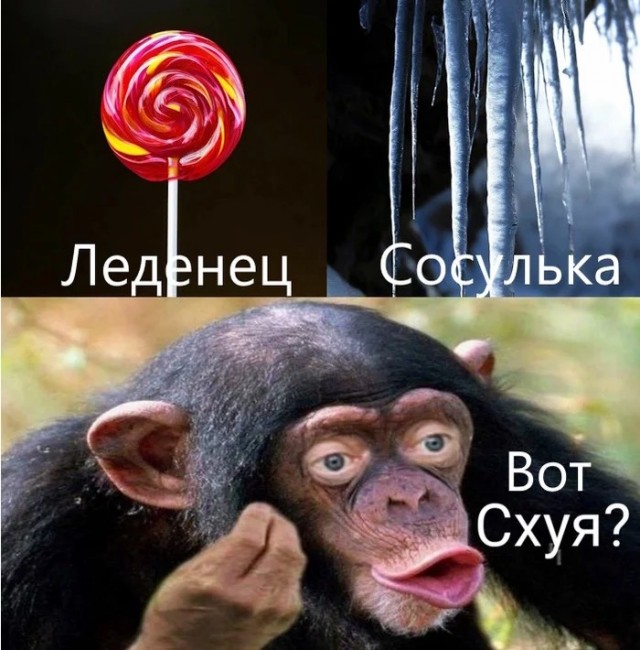 Вот почему?