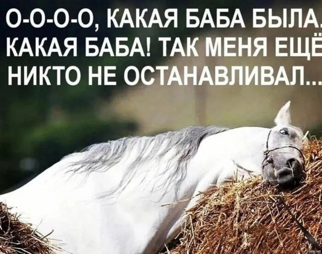 Немного картинок натыренных в ТГ