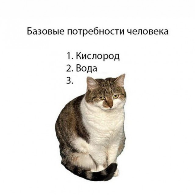 Прикольные и просто красивые картинки 06.12.2024