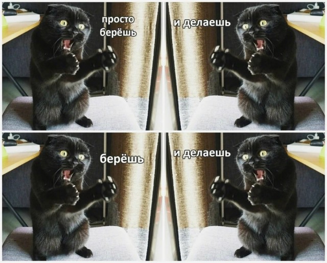К котовторнику: подборка картинок-баянов с котиками и про котиков. Выпуск 6
