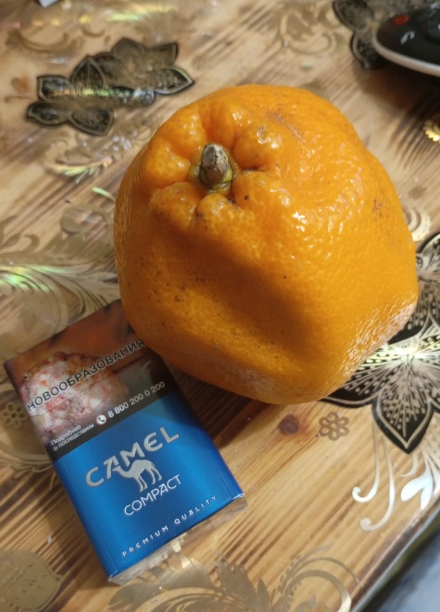 Мандарины чернобыльские, из Рыжего Леса.