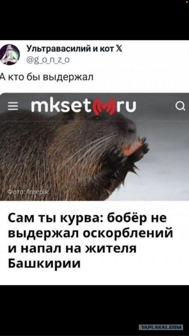 Падонги, кину чуть картинок. 10 штук