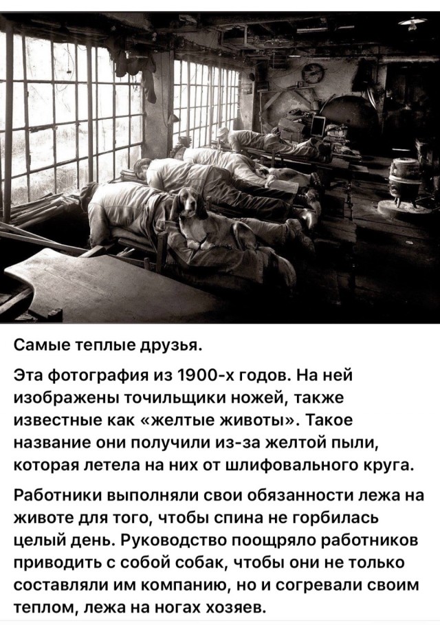 Люди и лица. Дореволюционные. 17.08.25