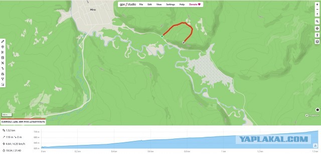 В Красноярском крае пропала семья с ребенком в лесу