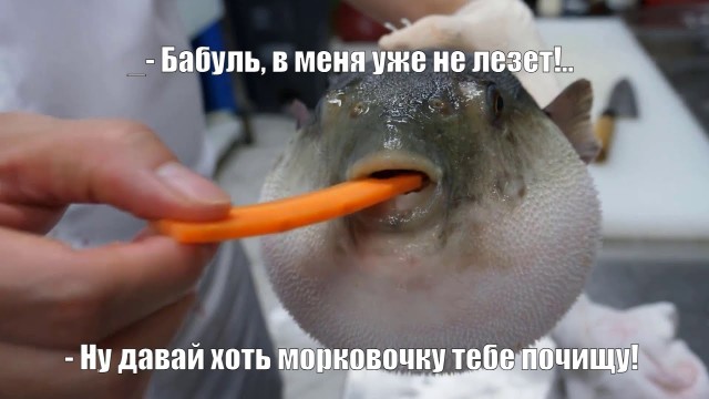 Картинки, веселые и глупые