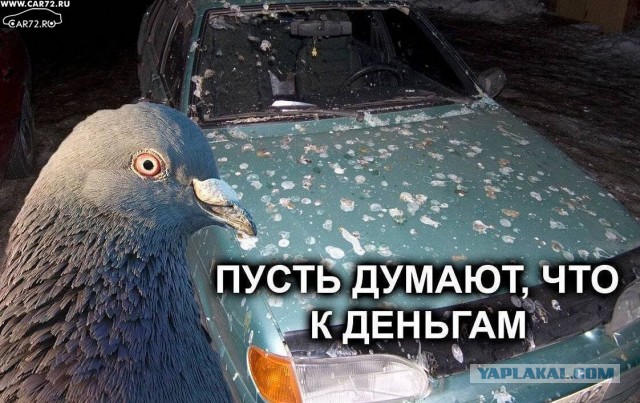 "Да мне насрать, где срать"