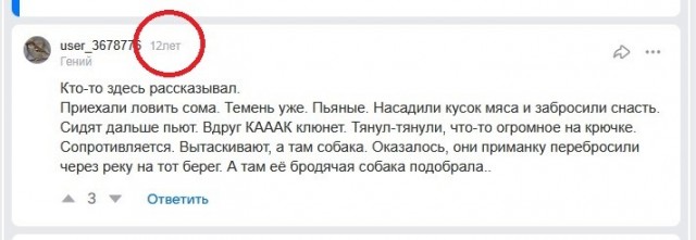 Мясо с рыболовным крючком проглотила собака в Подольске