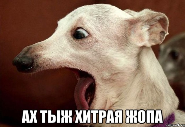 Пока никто не видит