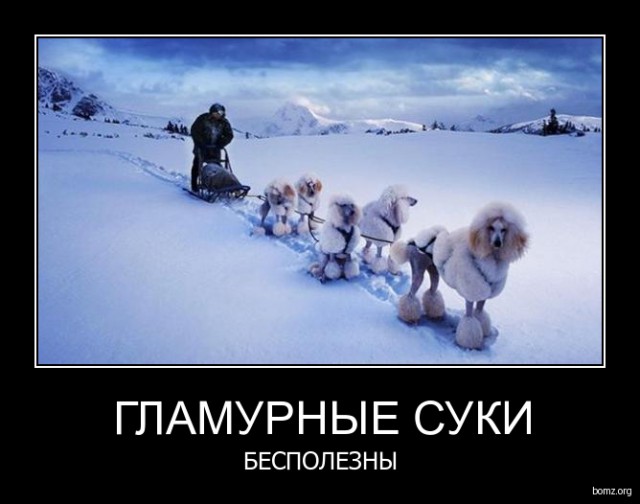 Как выглядит бесполезность