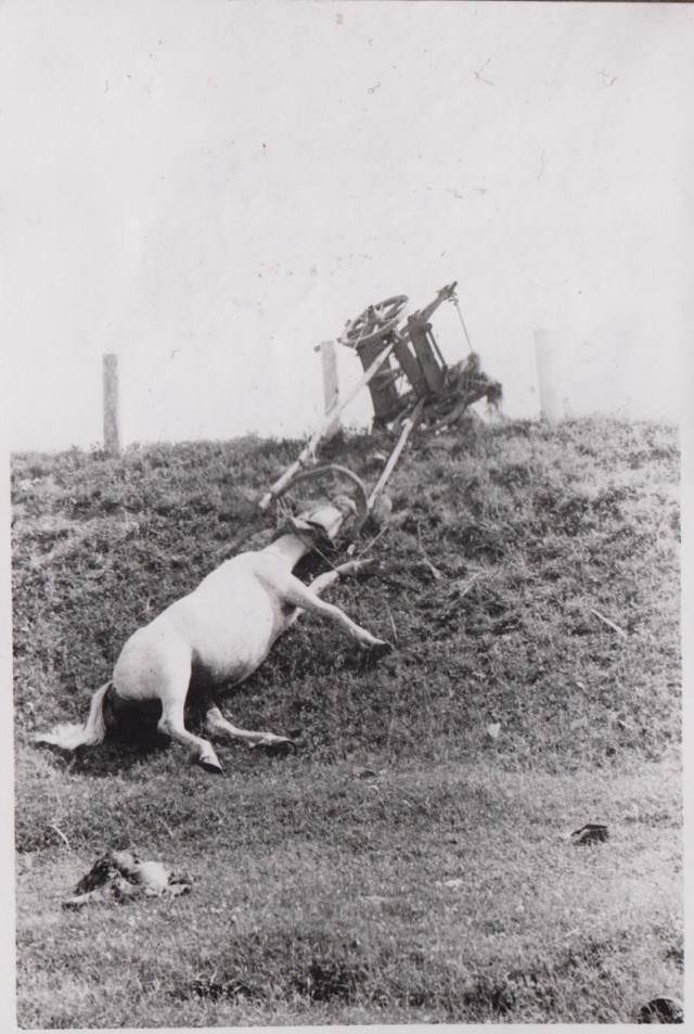Лето 1941 года.