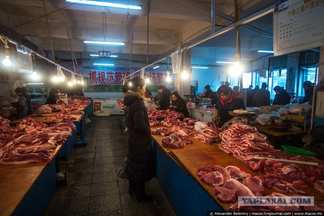 Продуктовые рынки в России и Китае