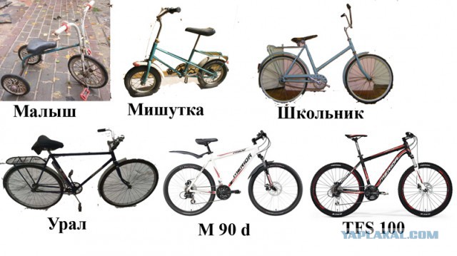 Мои велики, начиная с самого первого