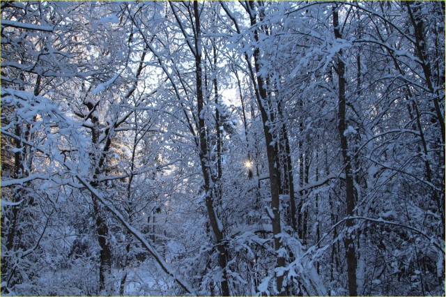 Немного моих фото, авторское