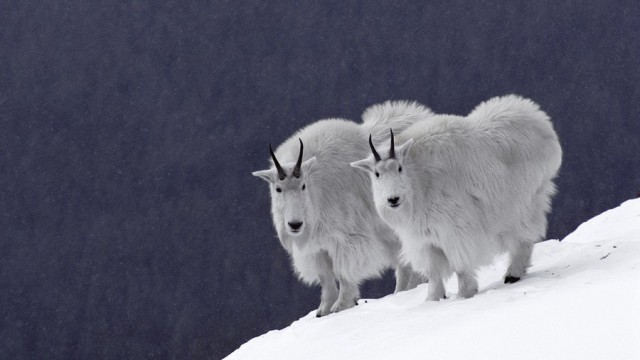Подборка красивых картинок