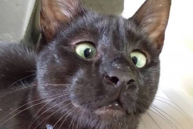 Подборка интересных и веселых фото