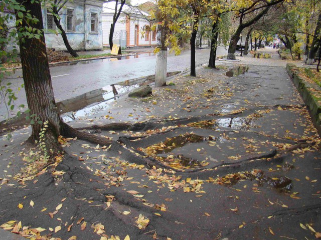 Немного фоток Бердянска