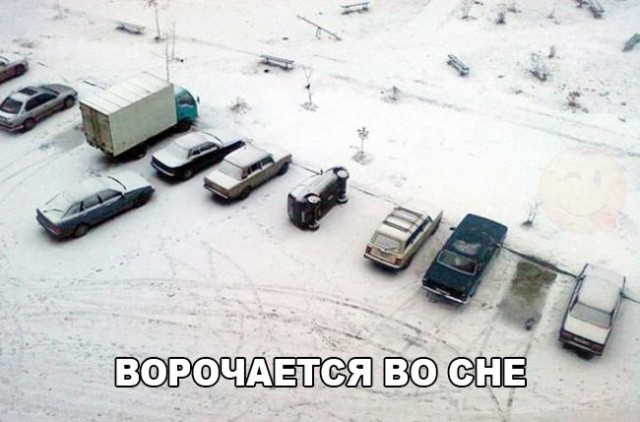 Прикольные картинки