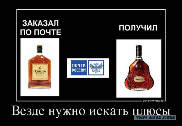 Орден черепахи!