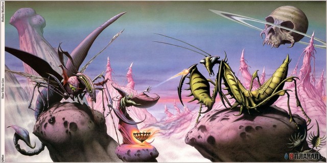 Rodney Matthews