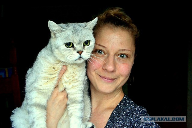 Джокер и его семья