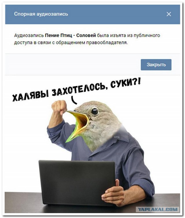 Забавные комментарии, шутки и фразы из этих ваших интернетов