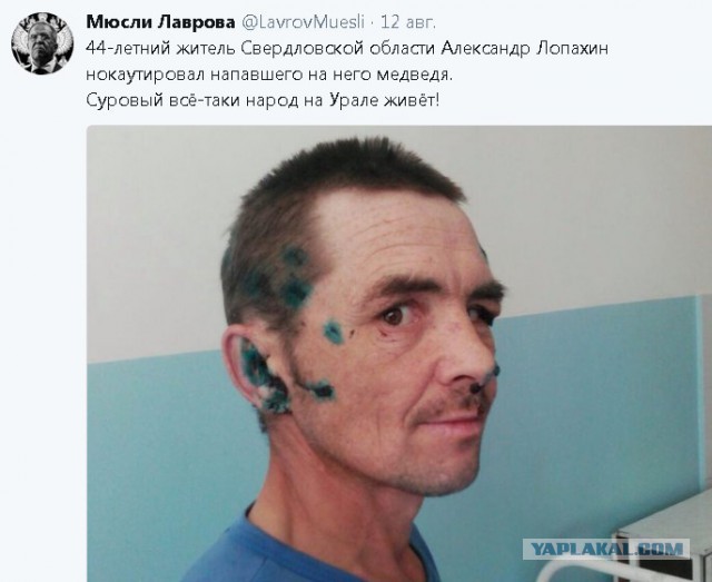 Попытка ограбления российских болельщиков мигрантами в Берне закончилась больничкой