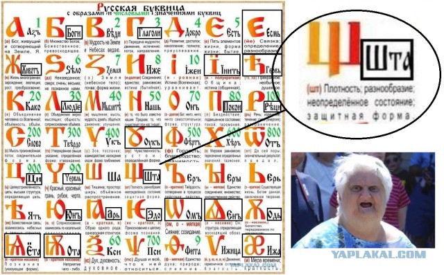 День буквы Ё
