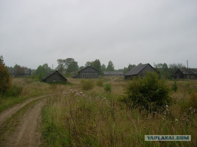 Родина. Костромская область.