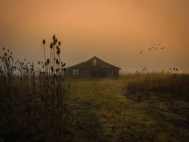 Оплот одиночества