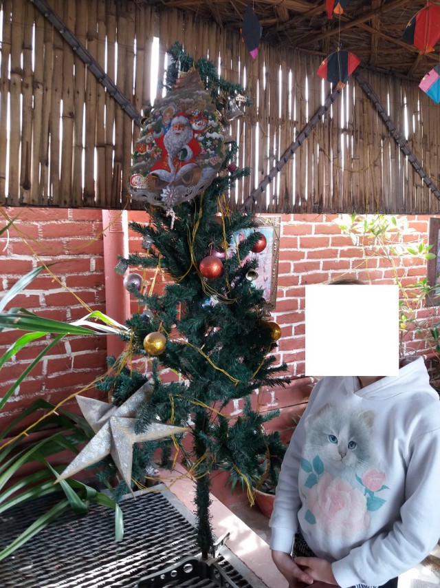Индия 16.12.2017-05.01.2018
