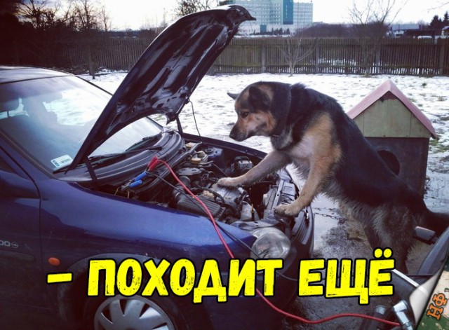 Нестандартный юмор