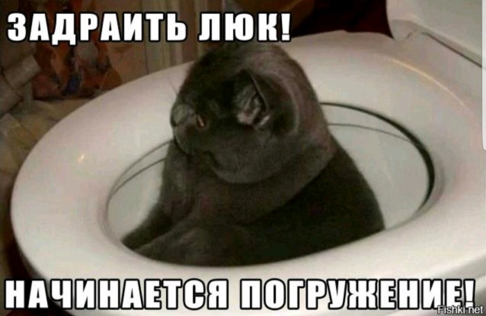 Анекдоты, соц-сети и картинки с надписями