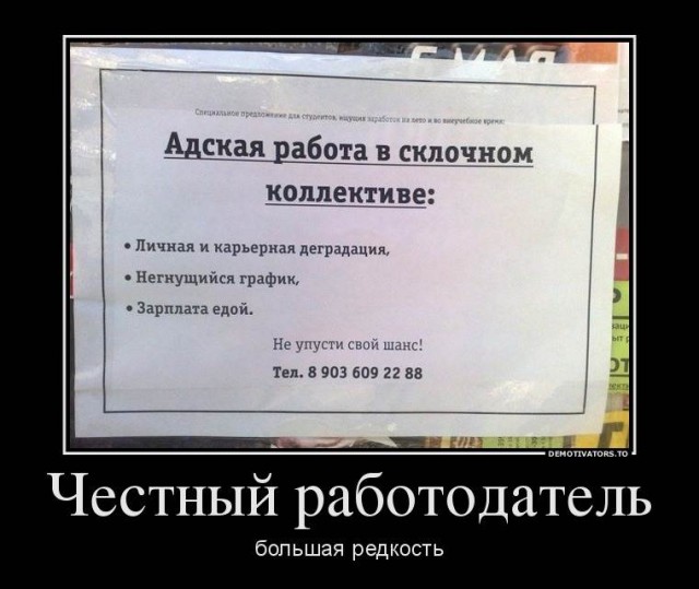 Сьездил на заработки
