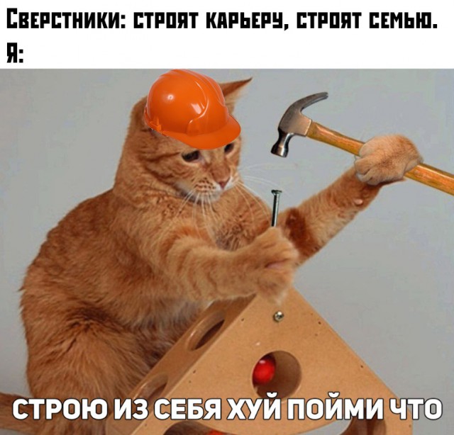 Картинки для настроения, честно стыренные на просторах тырнета