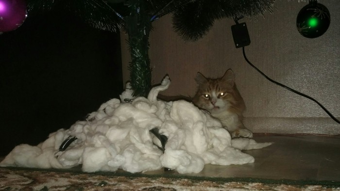 Котовторник *новогодний* 31/12/2019