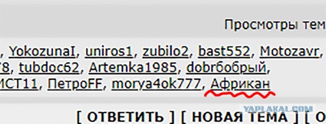 Это Африка