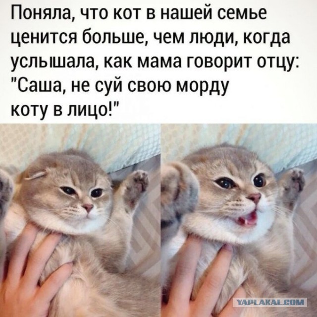Бредзона 07.04.2020